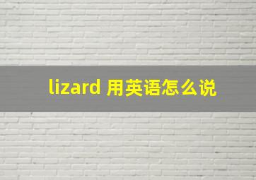 lizard 用英语怎么说